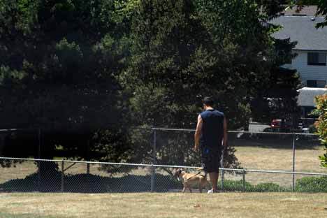 A man walks his dog through the Kingsgate 5 park in the Kingsgate neighborhood. The park is used by local kids and the community pool is just feet away. It was also the location where nine teens were assaulted by three adult suspects with a gun last April.