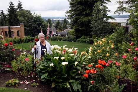 The flower varieties