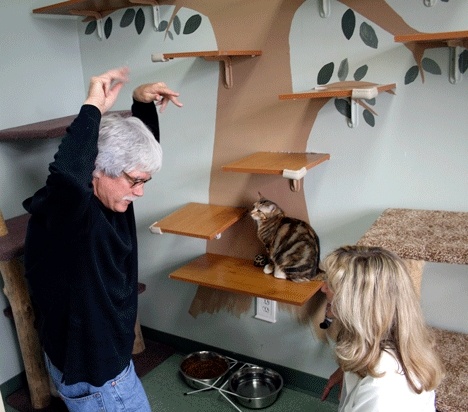 Animal Planet star Dr. Kevin Fitzgerald shares a laugh with MEOW Cat Rescue co-founder Bonne VeVea Thursday