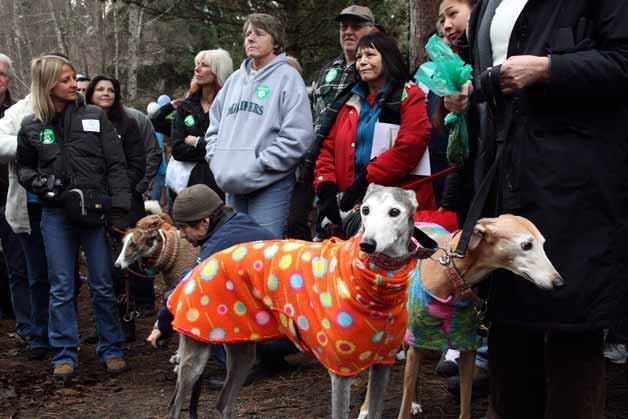 More than 100 pooches and people gathered for the grand opening of Kirkland's first off-leash dog park on Saturday. Jasper's Dog Park was named after KDOG President Jean Guth's canine.