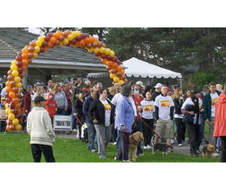 (Above) Hundreds of Hopelink supporters at Marina Park get ready to walk in the eighth annual Turkey Trot event on Nov. 16 that benefited the organization.