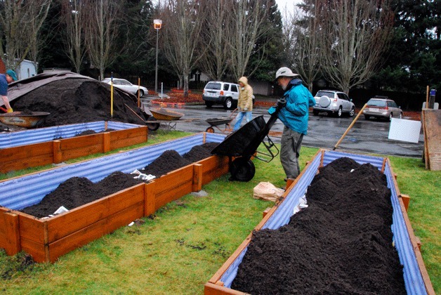 A gardener fills a garden plot with soil at the new First Fruits Community Garden