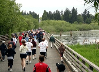 Kirkland Half Marathon runners in last year's event.