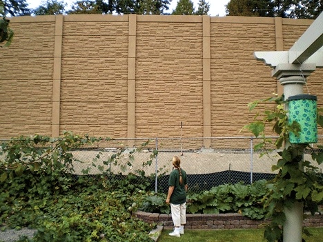One of the neighbors to the new Puget Sound Energy Juanita substation gazes up at the 23 foot wall that was constructed just 13 feet from her back fence.