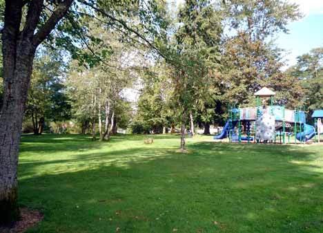 The Totem Lake and Kingsgate neighborhoods need the community’s help to raise funds for swings at 132nd Square Park. Through a partnership with King County and a Community Partnership Grant