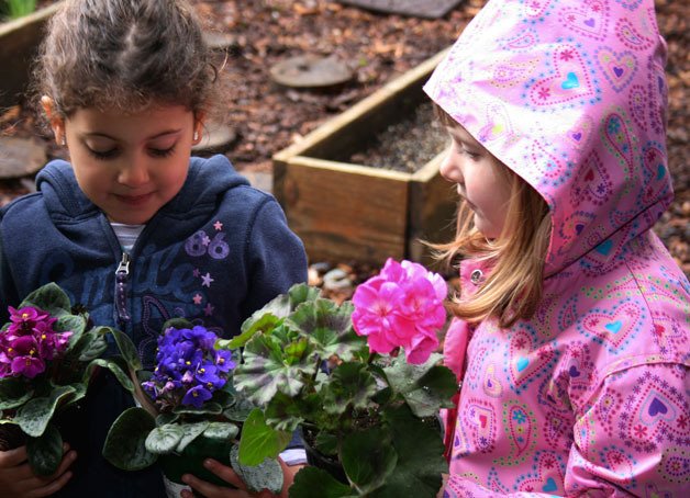 Evergreen Academy preschoolers released thousands of ladybugs into their school's garden as a celebration of Earth Day.