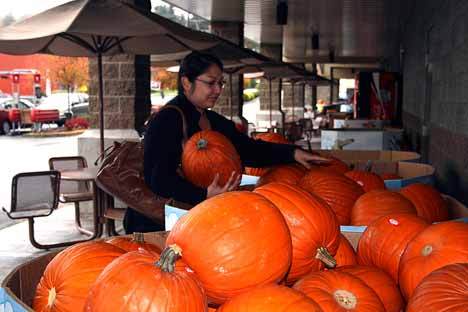 Sharleen Sablan picks through the many pumpkins to find the right one at the Safeway in Juanita on Friday morning.
