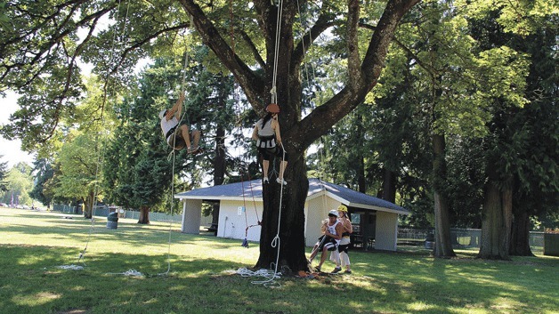 Tree climbers using the rope system Katie Oakley's Tree Time LLC employs.