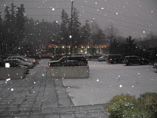 Snow falls last January along Lake Washington Boulevard