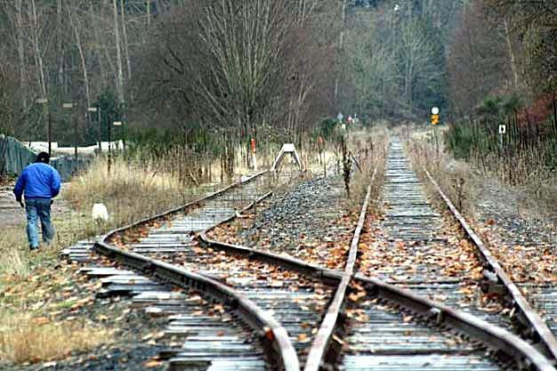 The Kirkland segment of the Eastside Rail Corridor.