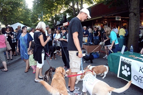 Dog enthusiasts flock to Park Lane Thursday to vote for their favorite '100 Hounds of Kirkland.'