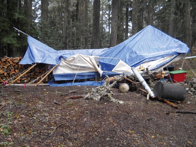 A tree branch fell onto a tent