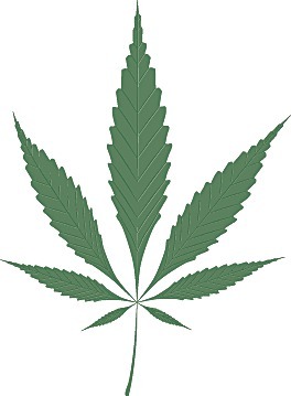 Several local moms called on the Kirkland City Council to protest a location where three marijuana retail license applicants have applied to set up shop. The property is located at 1818 Market Street in Kirkland.
