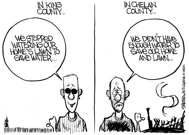 We stopped watering our home's lawn to save water | Cartoon | Kirkland  Reporter