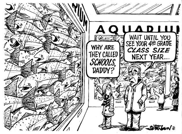Schooling