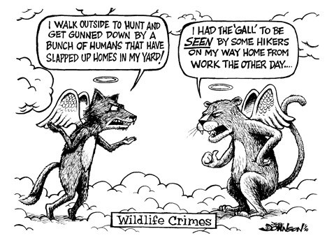 Wildlife crimes.