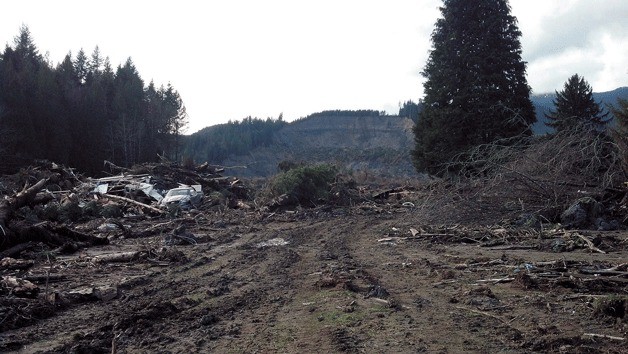 Debris from the aftermath of the Oso mudslide that occurred on March 22.