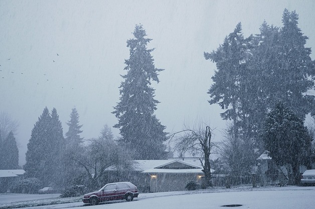 Snow falls on the Hazen Hills neighborhood of Kirkland on Wednesday morning.