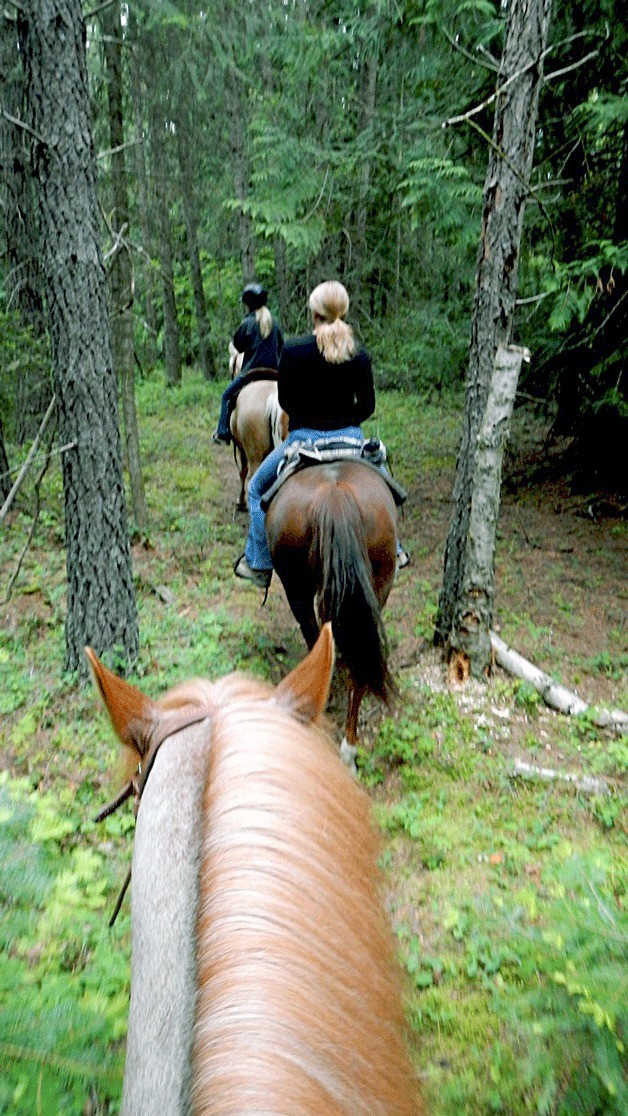 Cowgirl Spirit Equine Rescue will host its fourth annual benefit Prize Ride on Aug. 16 at Bridle Trails State Park in Kirkland.