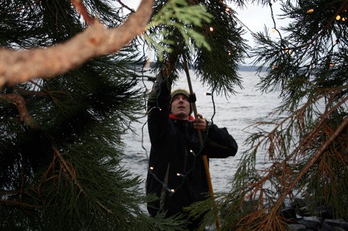 Brett Farrington of Seattle based Holiday Spirit Lighting Co. hangs holiday lights on a 50-foot tall tree in Marina Park on Wednesday. Of the 44 trees the crew decorated the tree pictured was the tallest and required a boom lift.