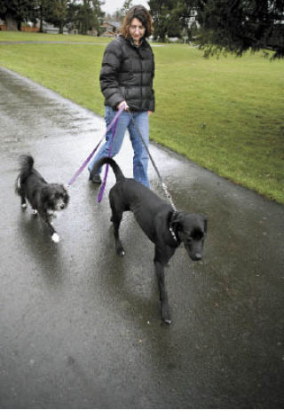 Norkirk resident Candida Crane walks her dogs