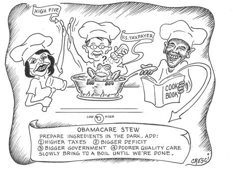 Obamacare Stew