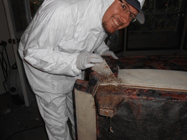 A Willard’s Pest Control employee lifts up cloth on the corner of a couch that is infested with bedbugs. Company employees packed up items from the Kirkland town house on Sept. 8 after bedbugs infested the home. The work was done at no cost.