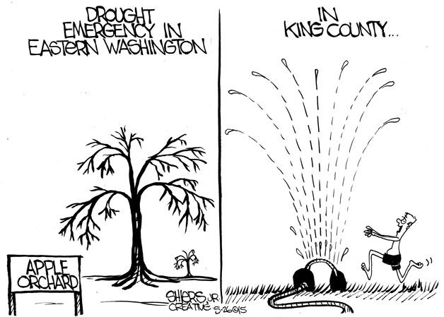Drought emergencies in Washington state | Cartoon | Kirkland Reporter
