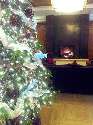 The Heathman Hotel in Kirkland has decorated their beautiful Christmas tree in the lobby of the hotel. The tree can be enjoyed in the lobby for visitors