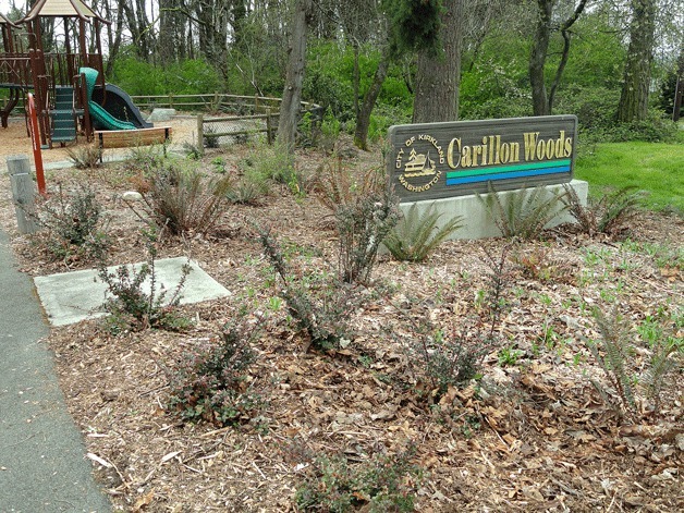 The new Butterfly Life-Cycle Demonstration Garden will open at Carillon Woods Park in Kirkland on May 14.