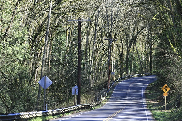 Holmes Point Drive Northeast has experienced multiple closures over the past few weeks due to fallen trees.