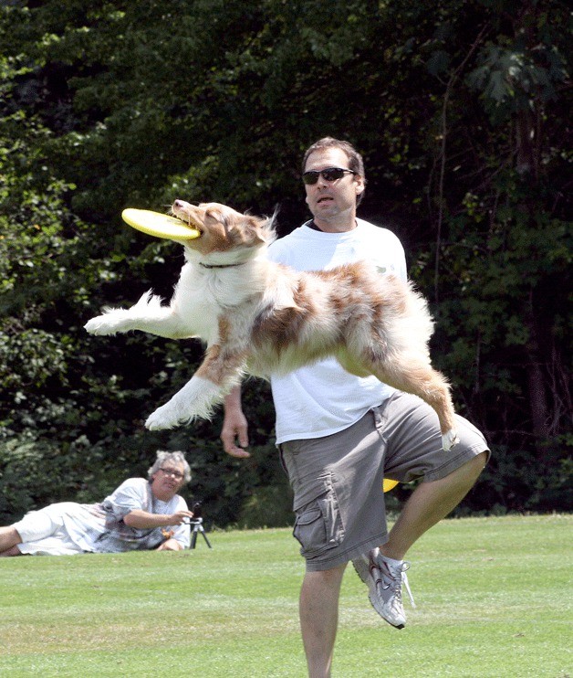A dog leaps for a Frisbee during the Go Dog Go! canine event at Crestwoods Park in 2009.