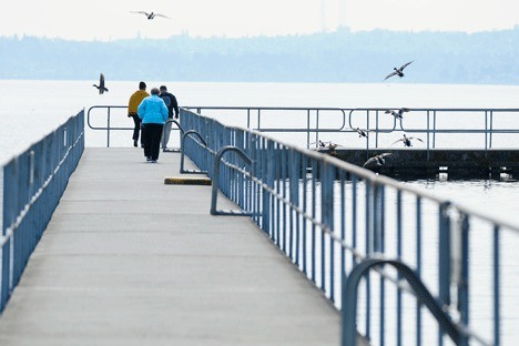 Pedestrians walk the pier as ducks circle for landing at Juanita Beach Park in Kirkland April 16