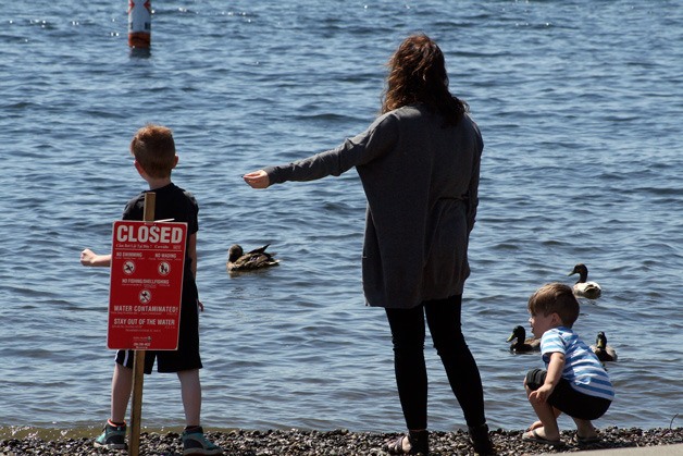 Park-goers feed ducks at Marina Park on Friday. The waterside of Marina Park's beach closed due to a release of 68