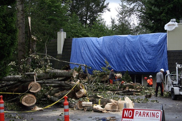 Crews work to remove three trees that fell on a building in The Village at Juanita apartment complex following a rain squall on Thursday evening. An elderly couple were taken to the hospital for observation and released.