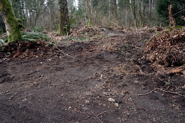 An area of Big Finn Hill Park's trails were plowed over for soil testing Feb. 15. The site is in consideration for a new fire station.