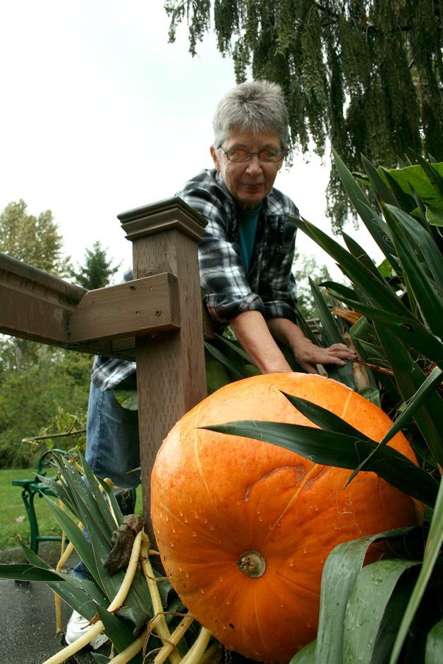 Lovada Lambright tends to her giant pumpkin at the Gardens at Juanita Bay retirement community on Tuesday. The pumpkin has helped Lambright