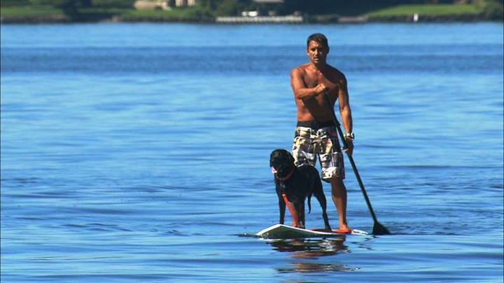 Bobby Arzadon saved a dog from drowning in  Lake Washington.