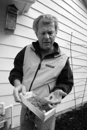 Steve Brustkern shows off his mason bees.