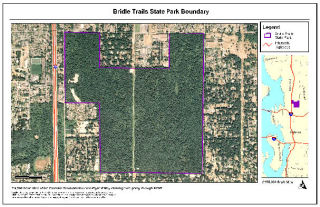 An aerial image showing the Eastside transmission line’s right-of-way (center line) through Bridle Trails State Park.