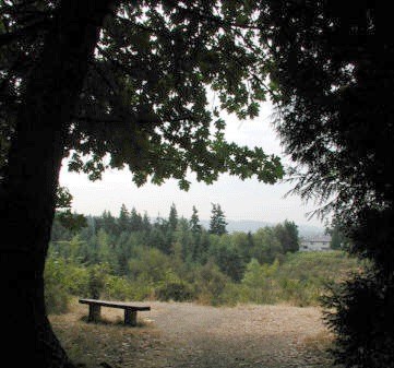 The 73.3 acre Watershed Park is located in Kirkland's Central Houghton neighborhood.