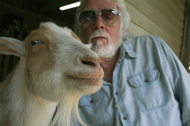 Greg Sheehan has a special relationship with his two Nigerian dwarf goats