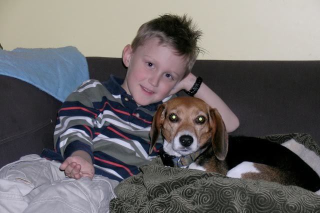 The Carlson’s 13-year-old family Beagle
