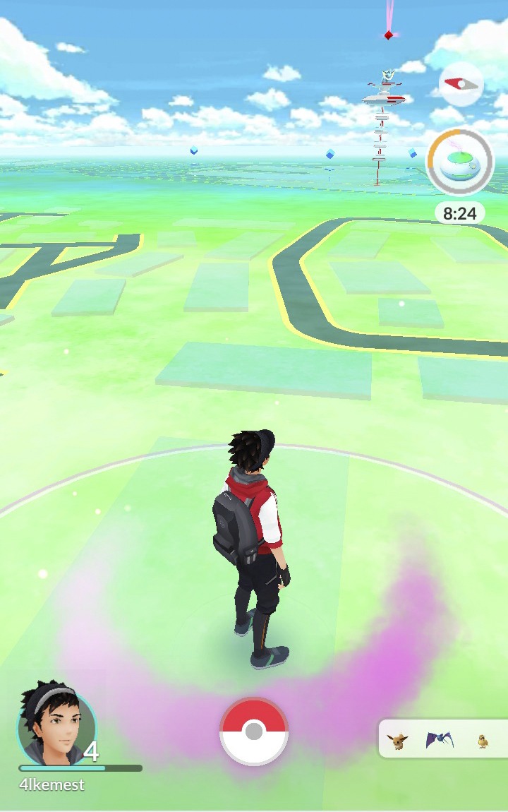 The author’s avatar trying to catch some Pokemon.