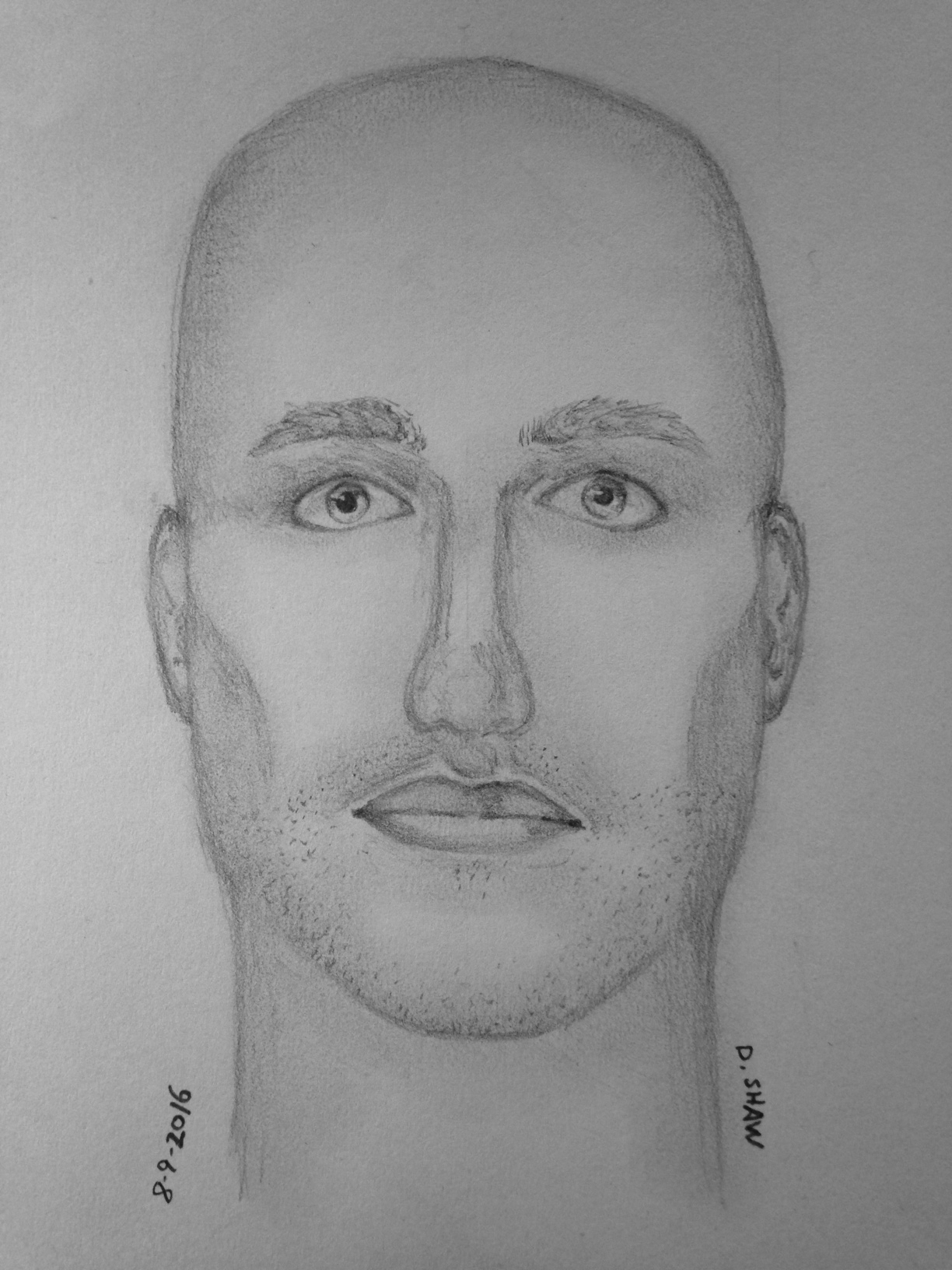 Suspect sketch