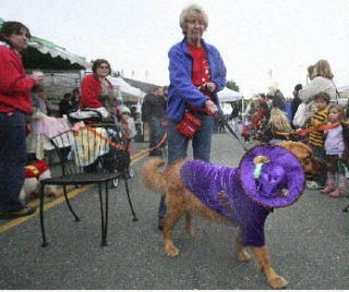 The Dog Formerly Known as Prince (a.k.a. Honey Bee) walks with Seattle Humane Society volunteer Judy Schroeder during the Howl-o-ween Dog Costume Fashion Show. Honey Bee is available for adoption at the Seattle Humane Society.