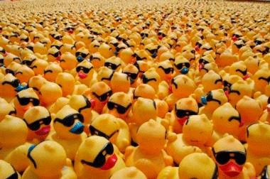 The Rotary Club of Kirkland's 15th Annual Duck Dash will be held from 2:30-3 p.m. Saturday