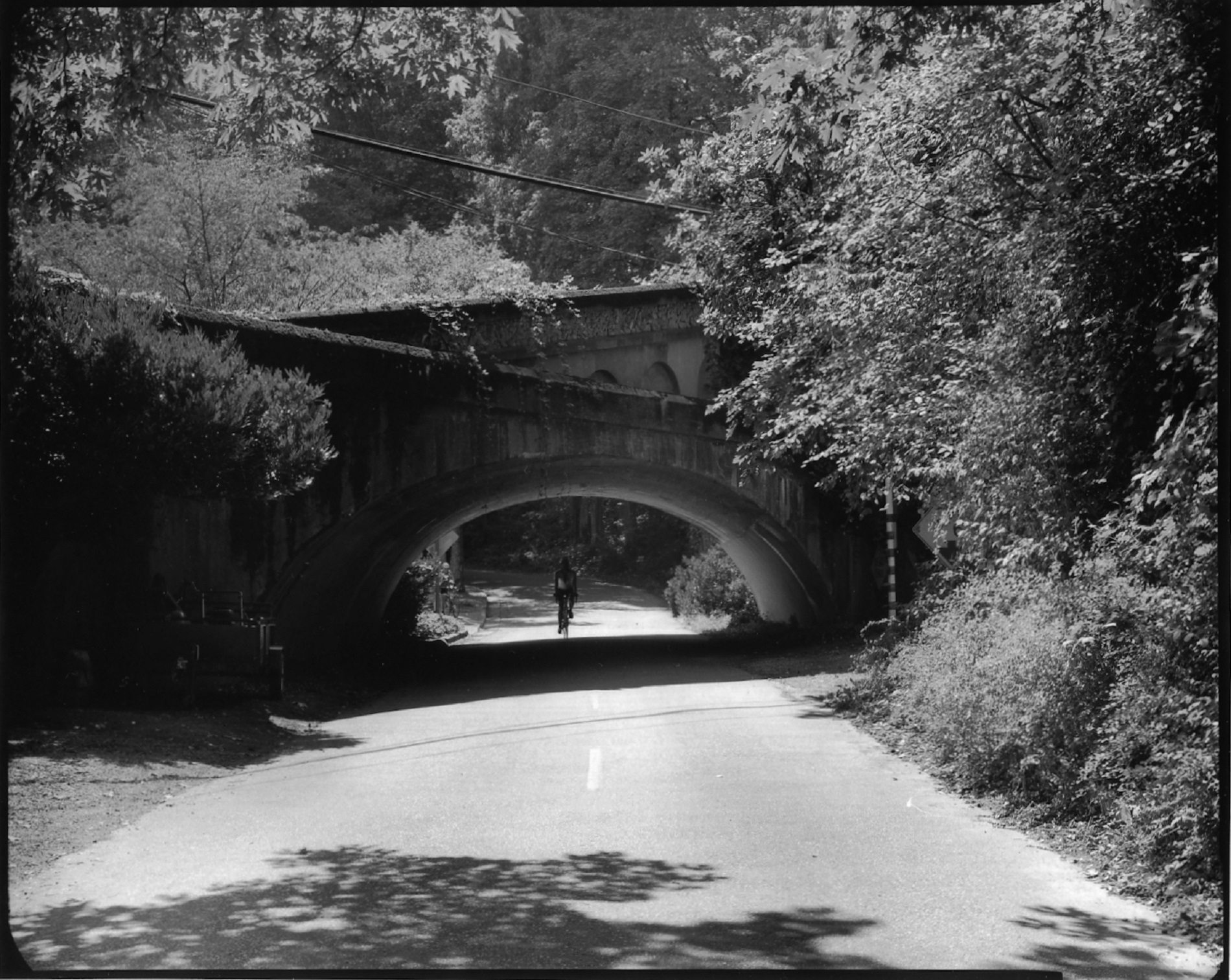 A bicyclist rides under the Leschi Park Trolley Bridge in Seattle. The bridge is one of 17 historic bridges from around King County that will be featured in a Oct. 13 presentation at the Kirkland Library. Photo courtesy of Eduardo Calderon