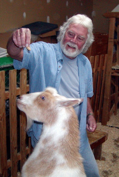 Greg Sheehan of Kirkland feeds one of his goats at his home. Greg and his “boys” recently won eight ribbons in the Goatalympics on July 9 at the Evergreen State Fairgrounds.