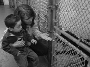Lily Palido and her grandson Zane Anderson visited the Kent Animal Shelter last Wednesday to look for a dog to adopt. King County has come under fire for the management of its two shelters. Other than the Kent shelter